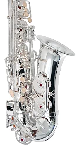 Amazon | PLAYTECH (プレイテック) アルトサックス シルバー ケース